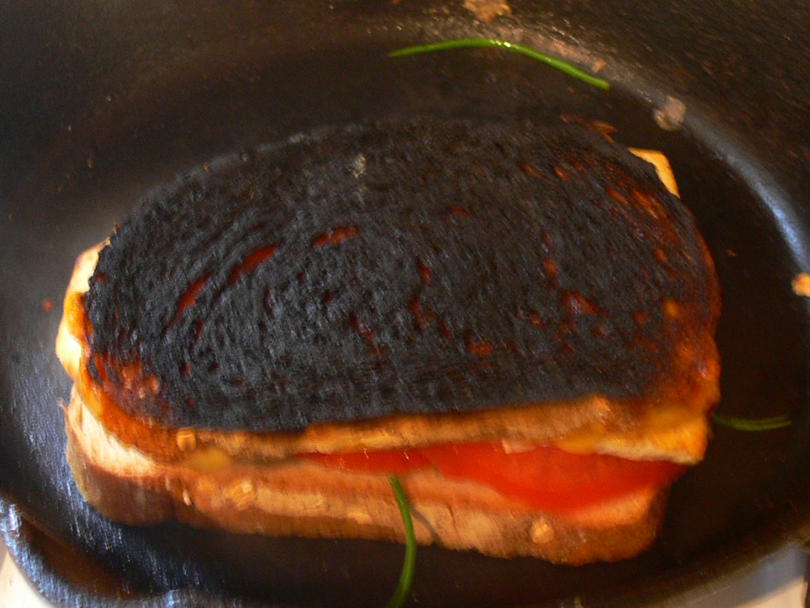 Fiddling thru Fiddlehead: No Fiddlehead Ferns Here