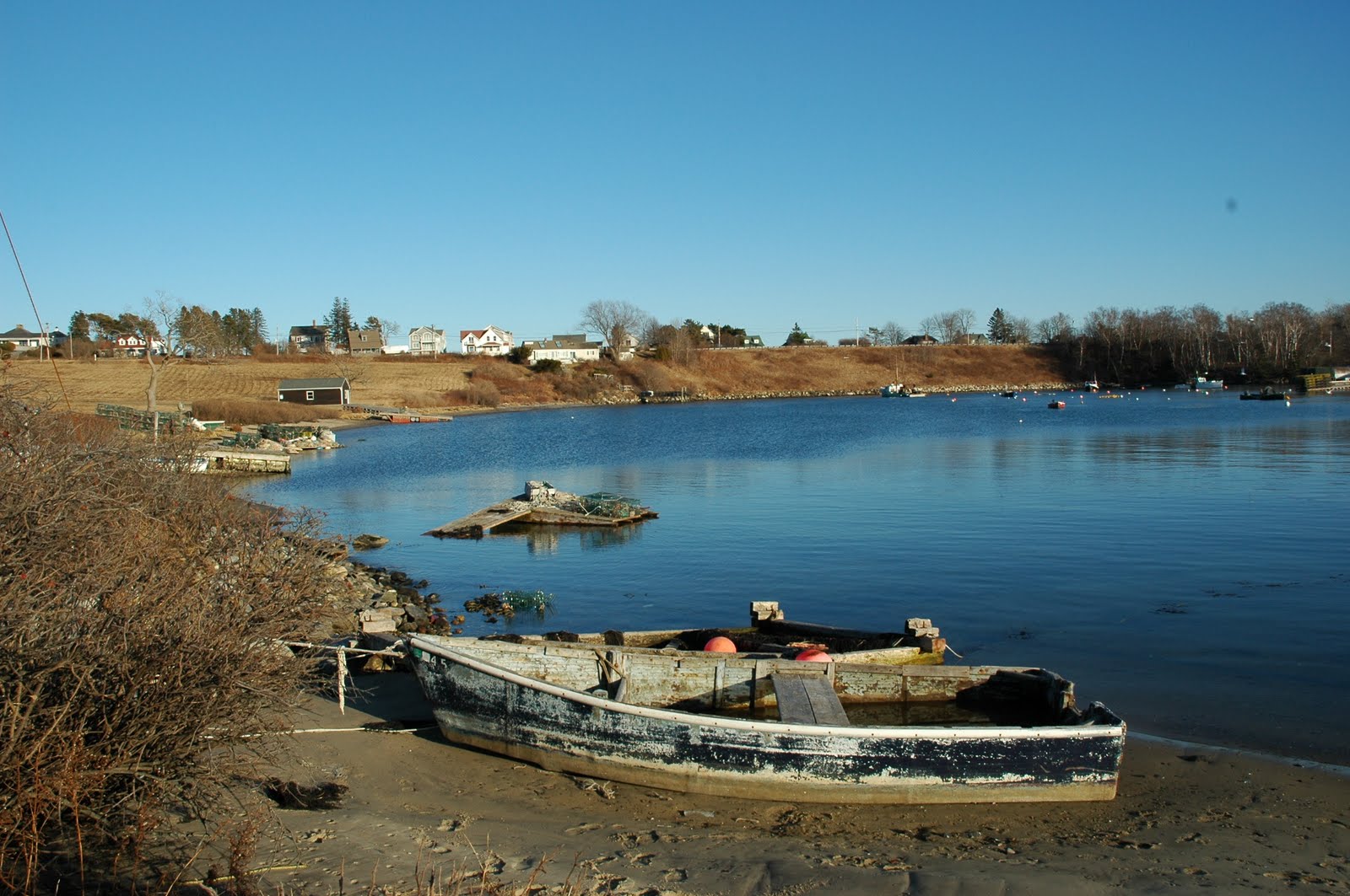Mary Byrom Mackerel Cove