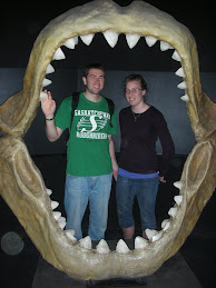 Busan Aquarium