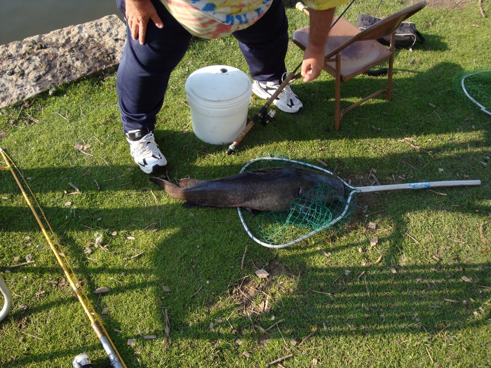 Lincoln Park Commons Pond News Kettering, Ohio Fish Caught At Lincoln