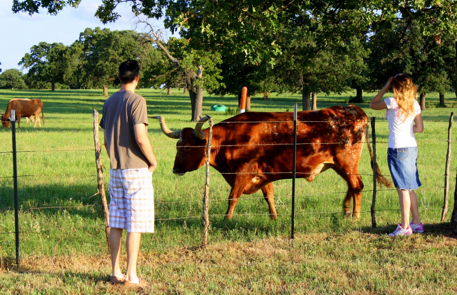 The Tanner Family Cattle Call