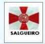 SALGUEIRO