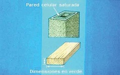 MUEBLES DOMOTICOS: PROPIEDADES DE LA MADERA