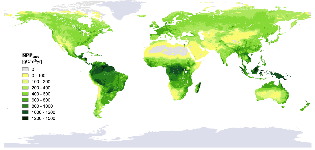 Early Warning Global Crop Yield Map