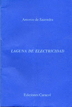 <i>Laguna De Electricidad</i> 1998