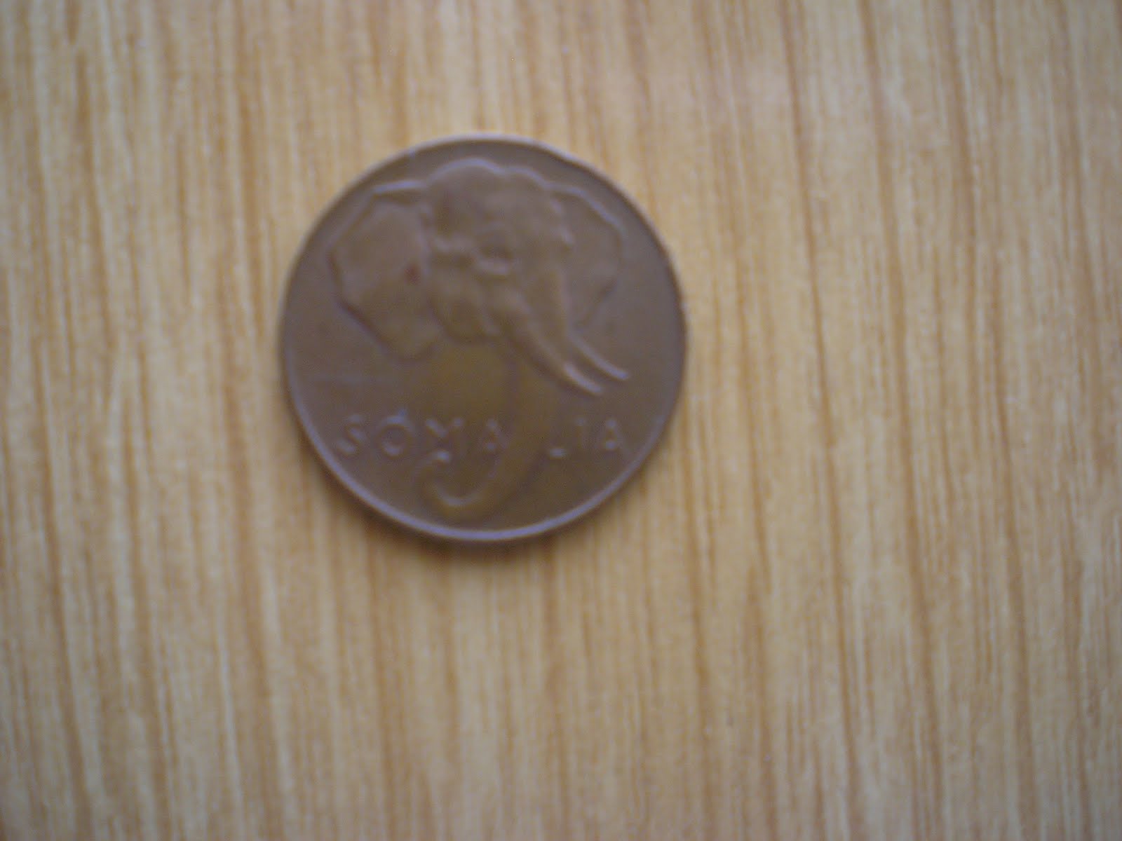 PA183173.JPG