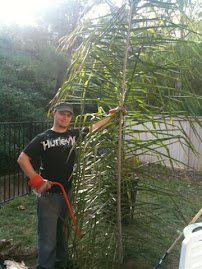 Drew and His Palm Tree