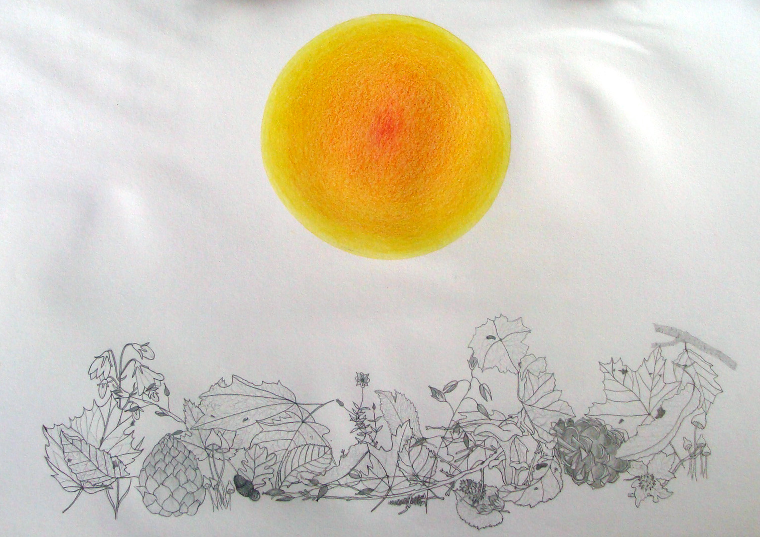 aquarelles et dessins de Françoise PRIEUR Soleil dessin au crayon