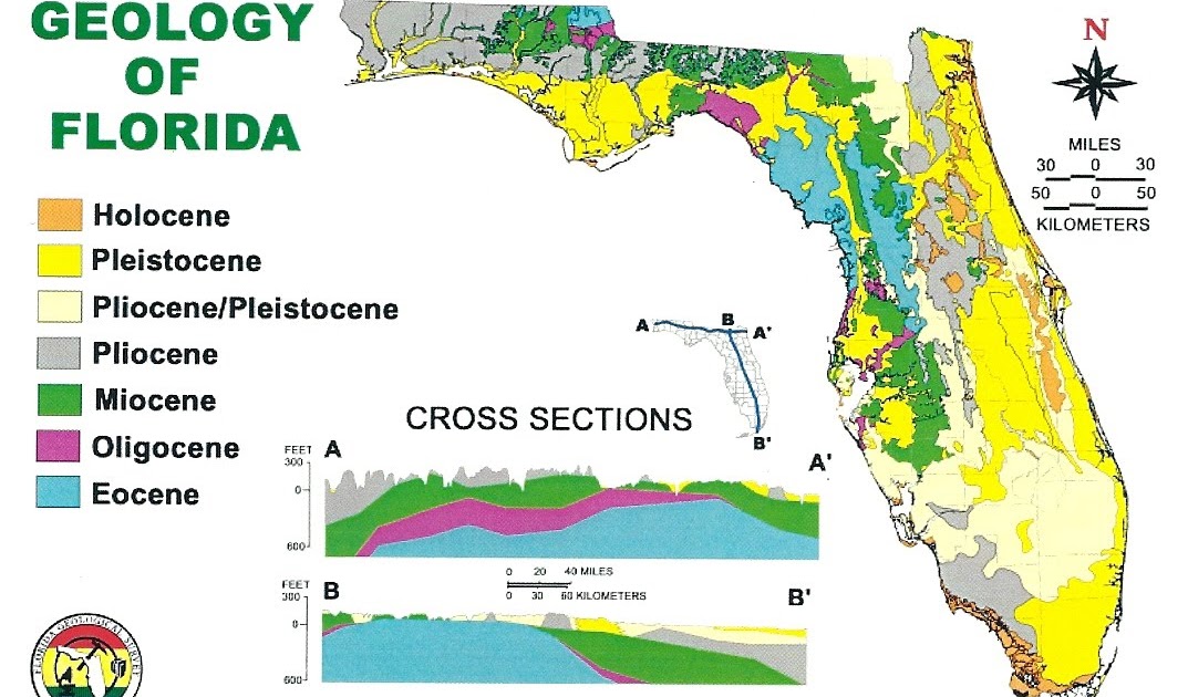 Viridian's Postcard Blog: PFF: Geology of Florida