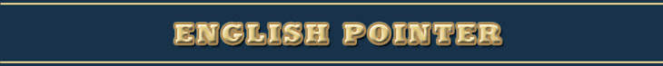 petz 5 directory petz 5 directory