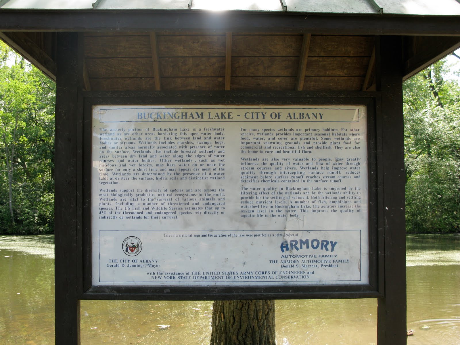 Kid Friendly Albany Buckingham Lake Park