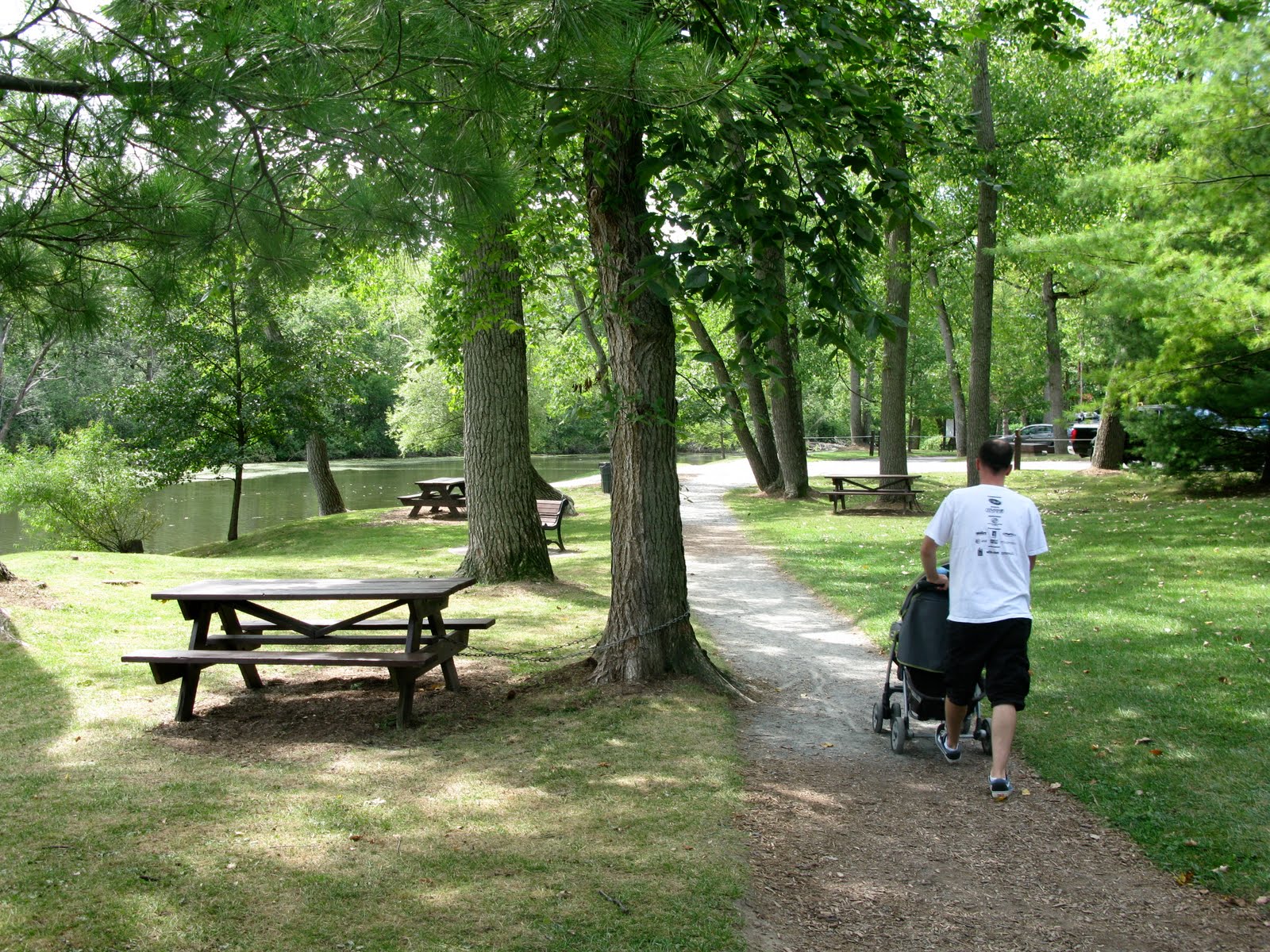 Kid Friendly Albany Buckingham Lake Park