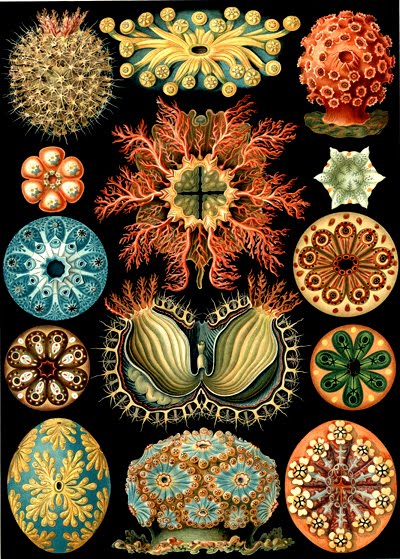 [synapticstimuli5.jpg]