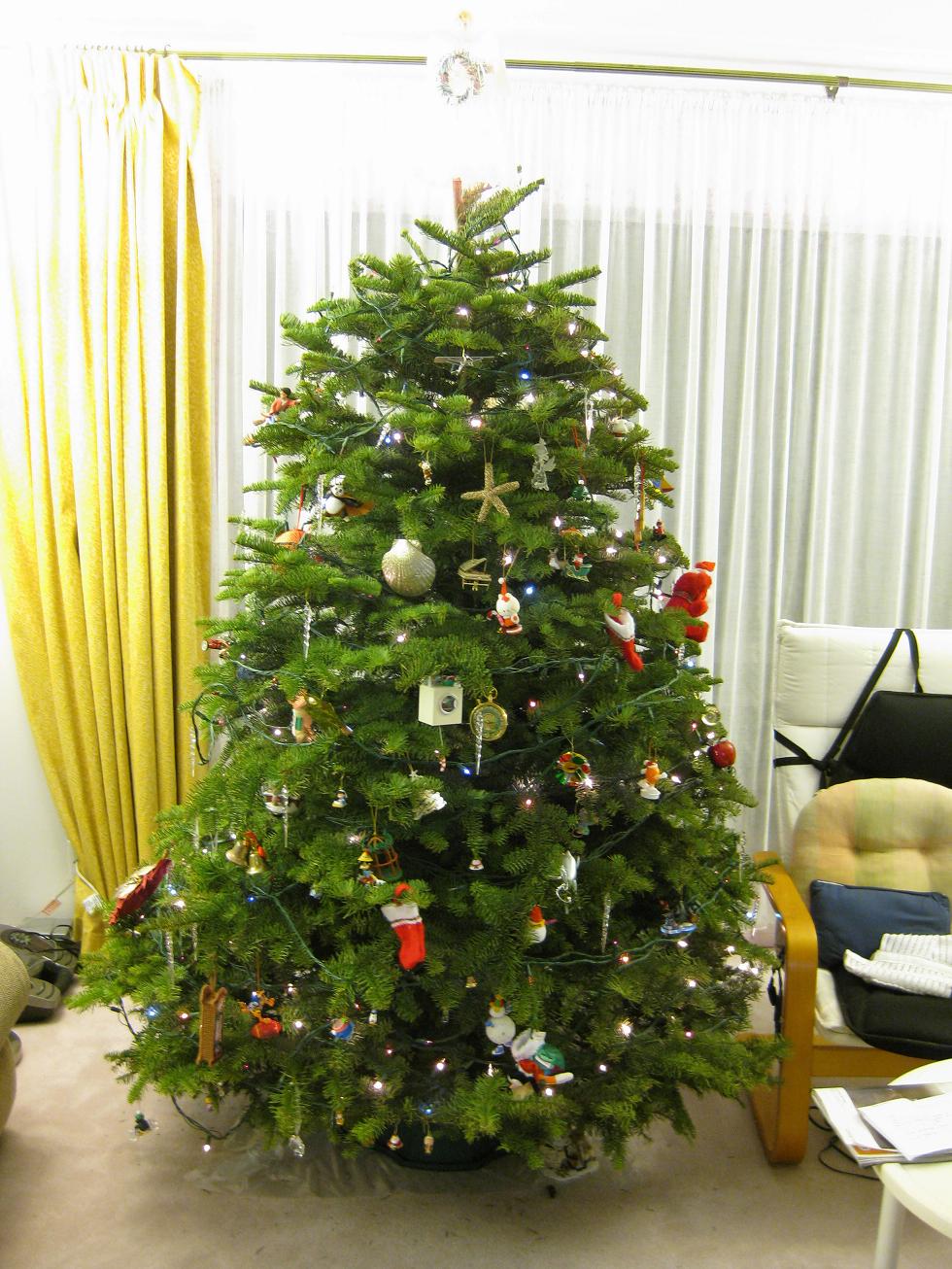 [christmas09a.JPG]