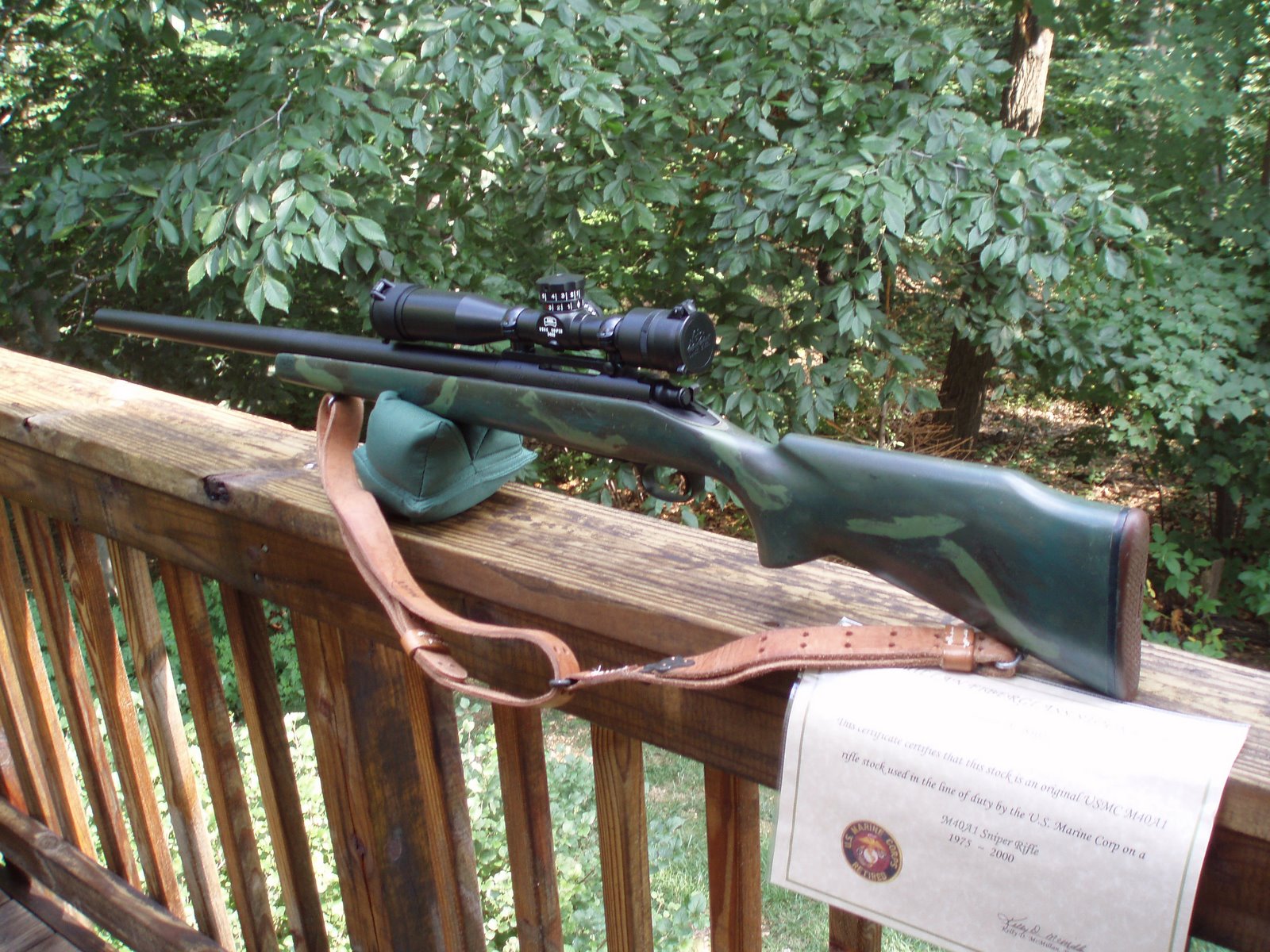 [40A1+rear.JPG]