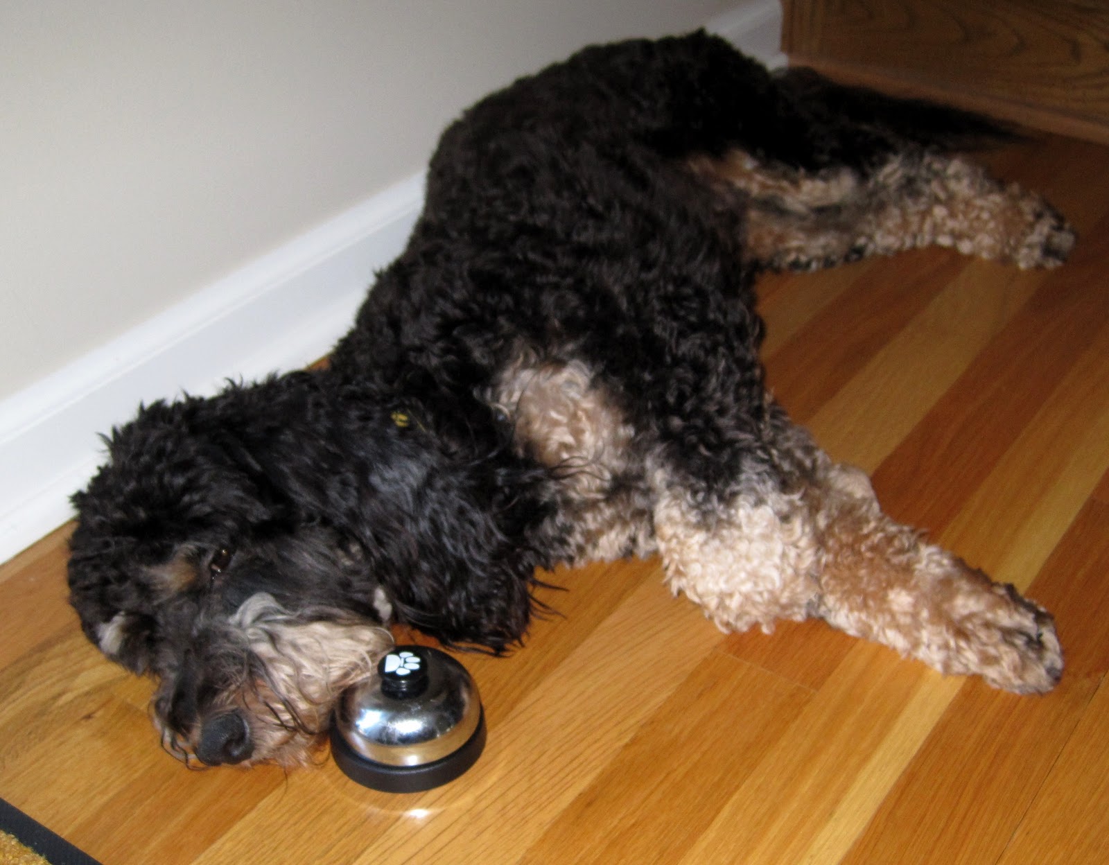 my dog forest: Potty Bell