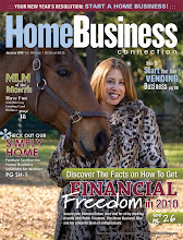 Another Feature Story on The Home Business DIVA