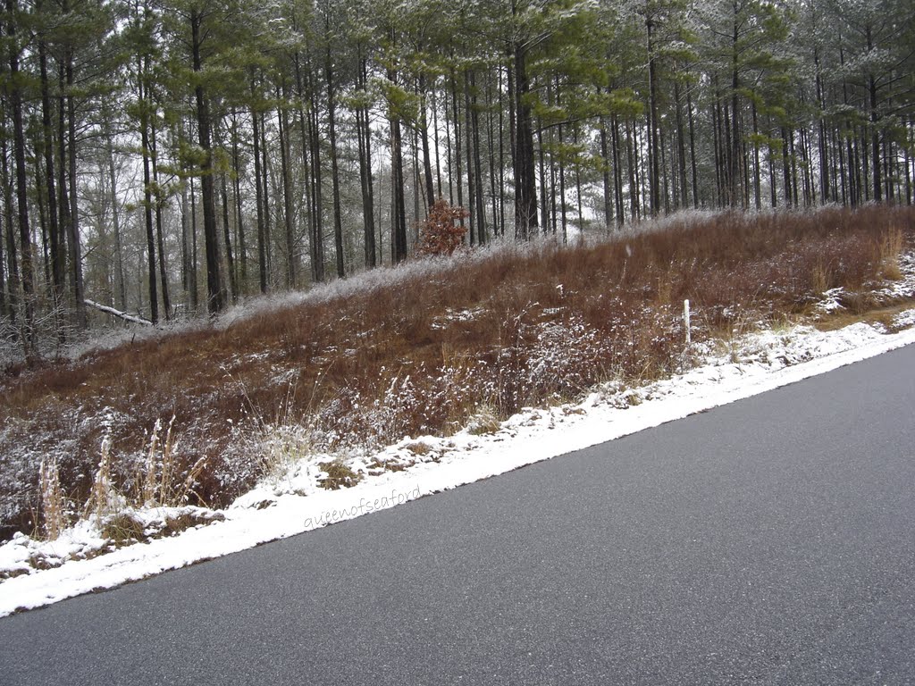 The Queen of Seaford Christmas Snow in South Carolina