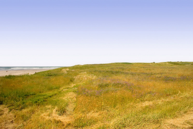 Real Estate Is On The Move!