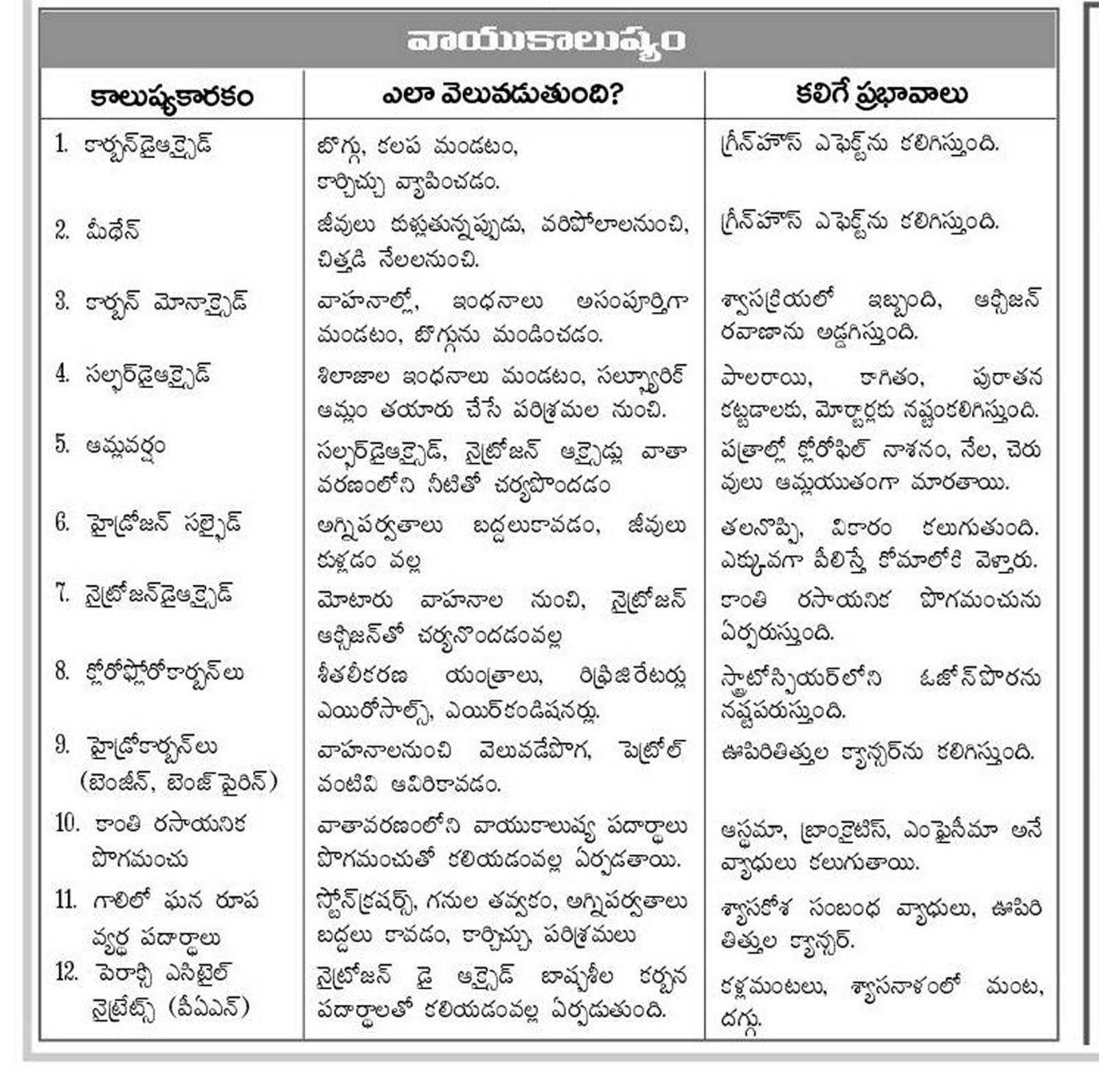 essay on environmental global warming essay environmental essay on environmental