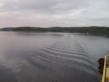 The lake saimaa