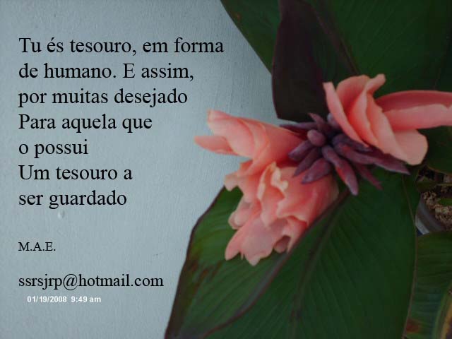 [Imagem+1138.jpg]