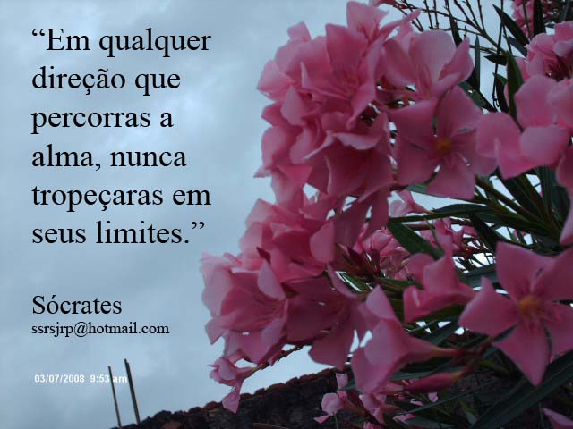 [Imagem+001.jpg]