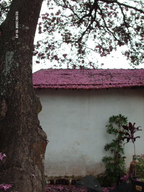 [Imagem+05+2008+1165.jpg]