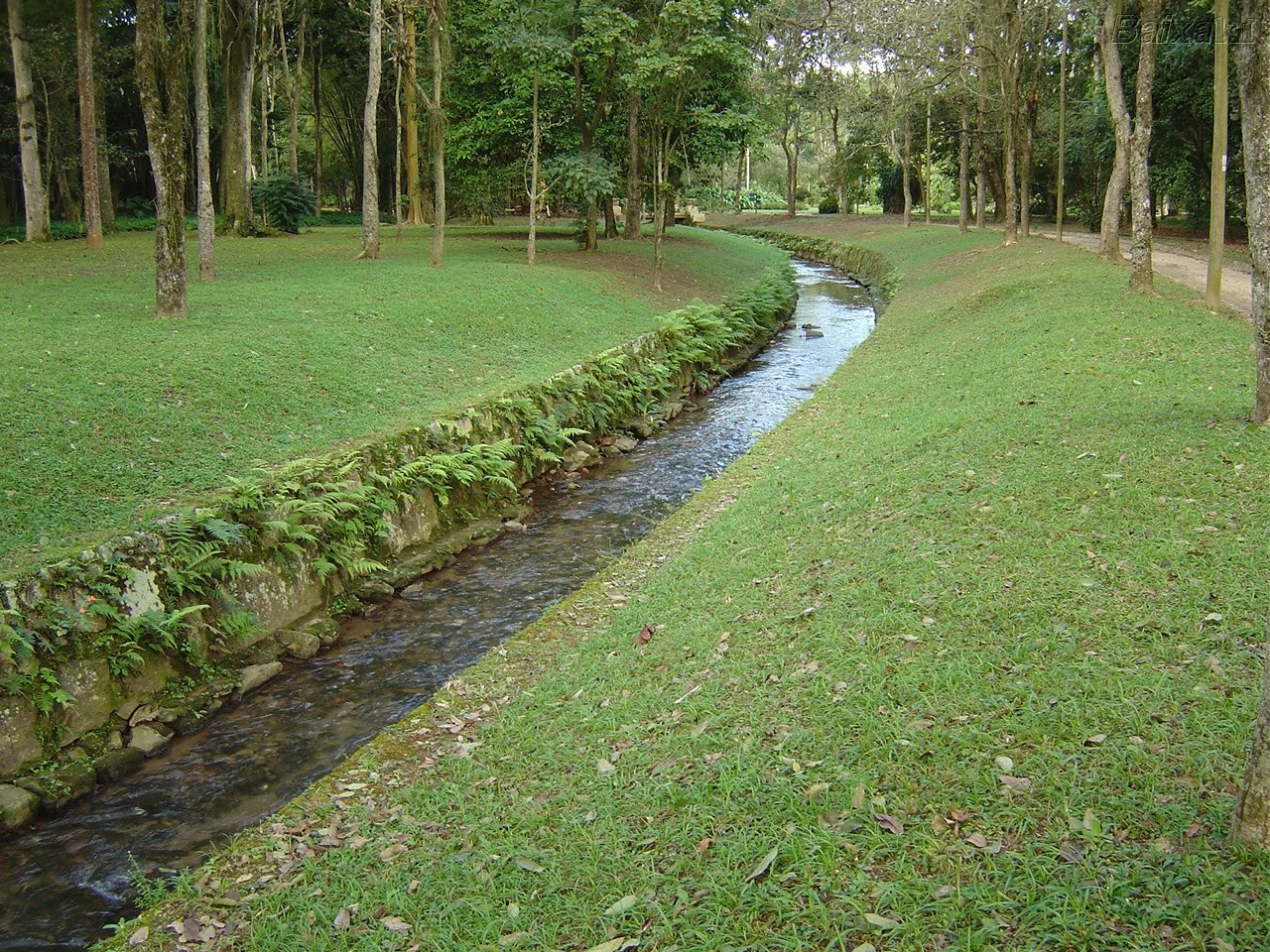[Jardim+botanico.jpg]