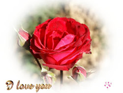 rose roses quotes found ishq vishq sobol laurel ballet marie stars boom sms fun