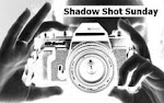 Shadow Shot Sunday