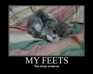 cute cat picture with caption: MY FEETS they are go wrong wai