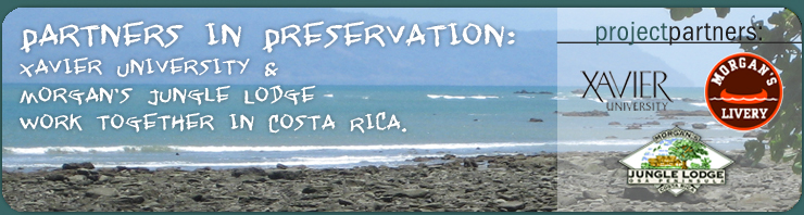 Costa Rica | BIOL 255 - Tropical Biodiversity