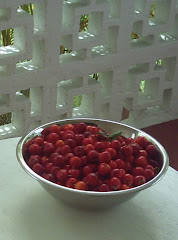 The Barbados Cherries