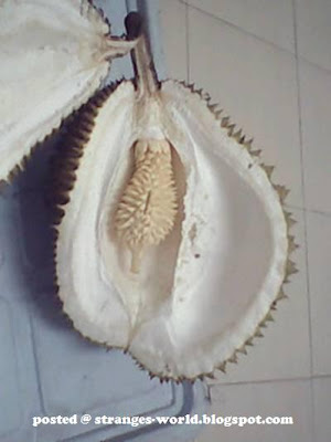Strange Durian