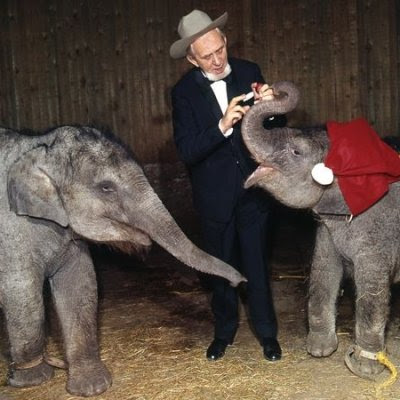 Eli Benneweis med elefanter