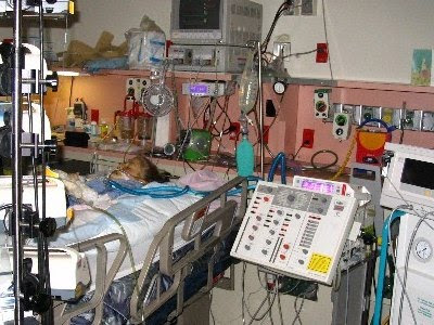 Døden på intensiv-afdelingen