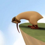Kiwi på kanten Kiwi på kanten