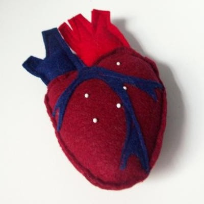 Masochistisk hjerte-nålepude (anatomisk)
