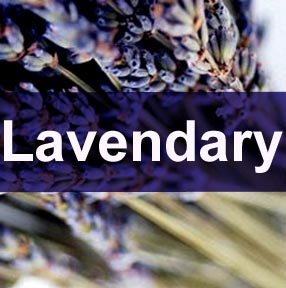 lavendary