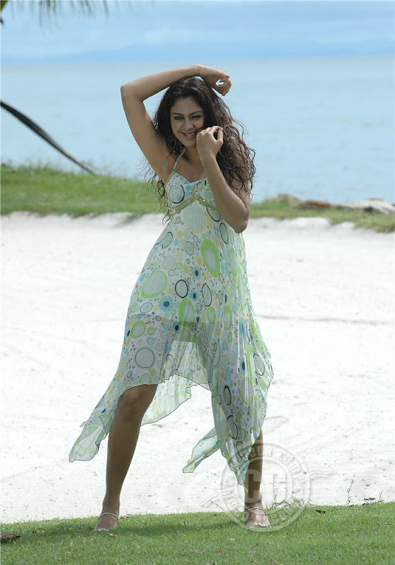 Kamna Jethmalini Hot Photos wallpapers