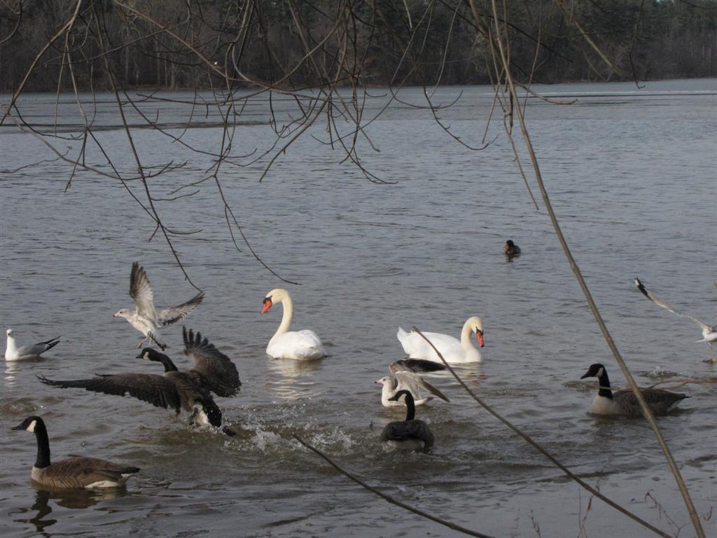 [IMG_6626+(Large).JPG]