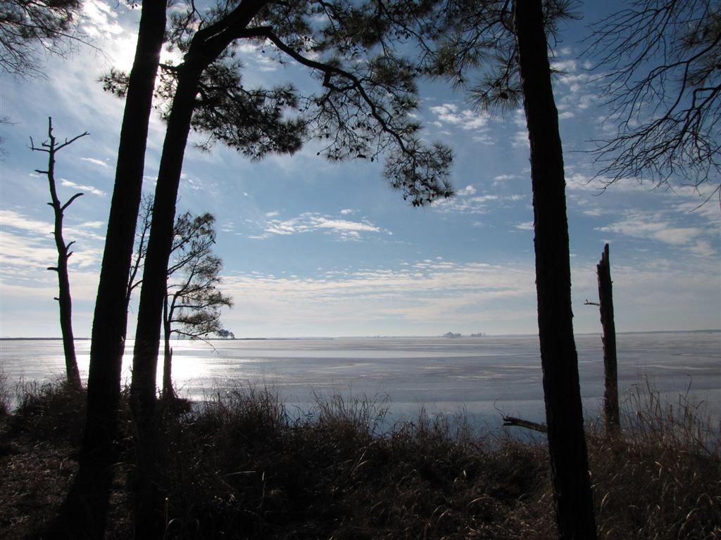 [IMG_6429+(Large).JPG]