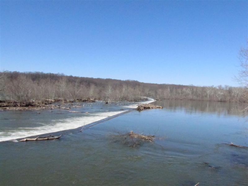 [IMG_0062+(Medium).JPG]