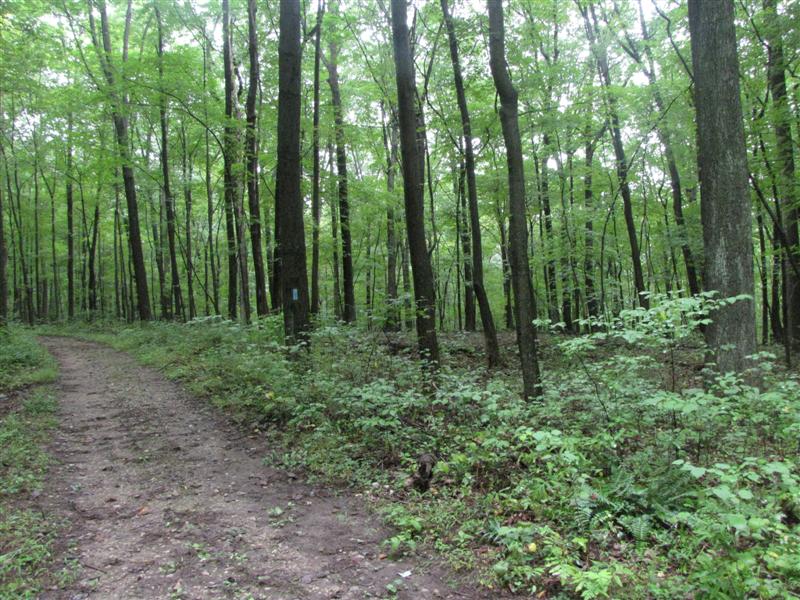 [082909+Gunpowder+trail+(Medium).jpg]