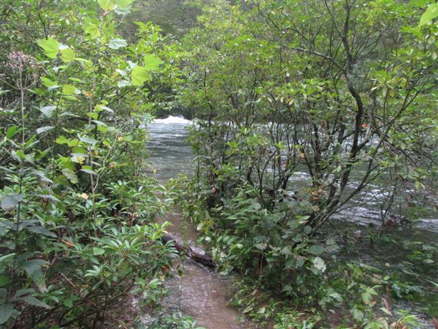 [IMG_4338+(Small).JPG]