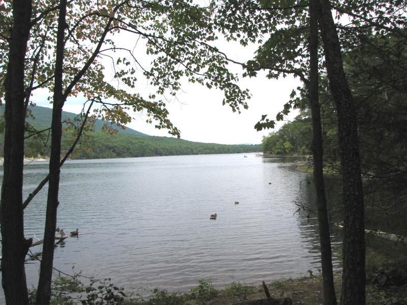 [IMG_4507+(Medium).JPG]