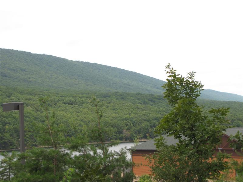 [IMG_4486+(Medium).JPG]