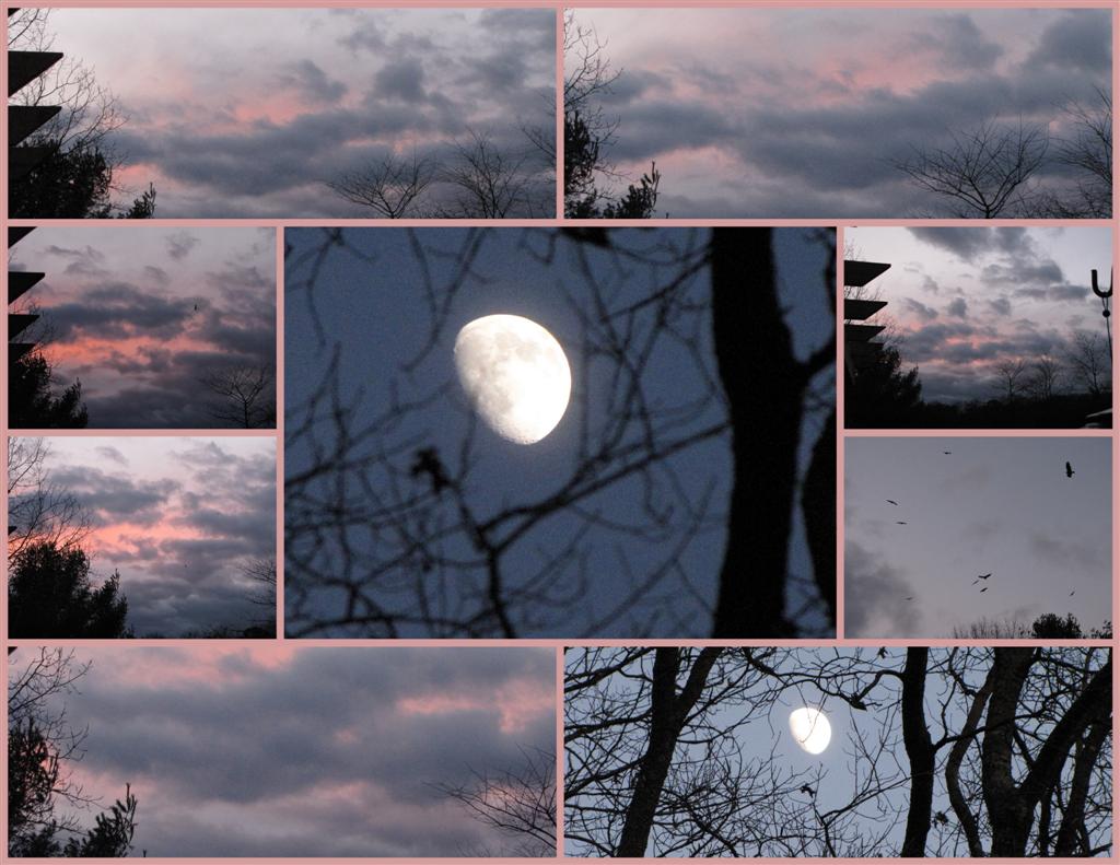 [Sunset+mosaic112709+(Large).jpg]