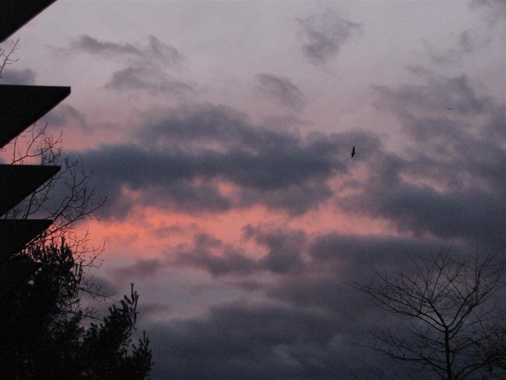 [IMG_5376+(Large).JPG]